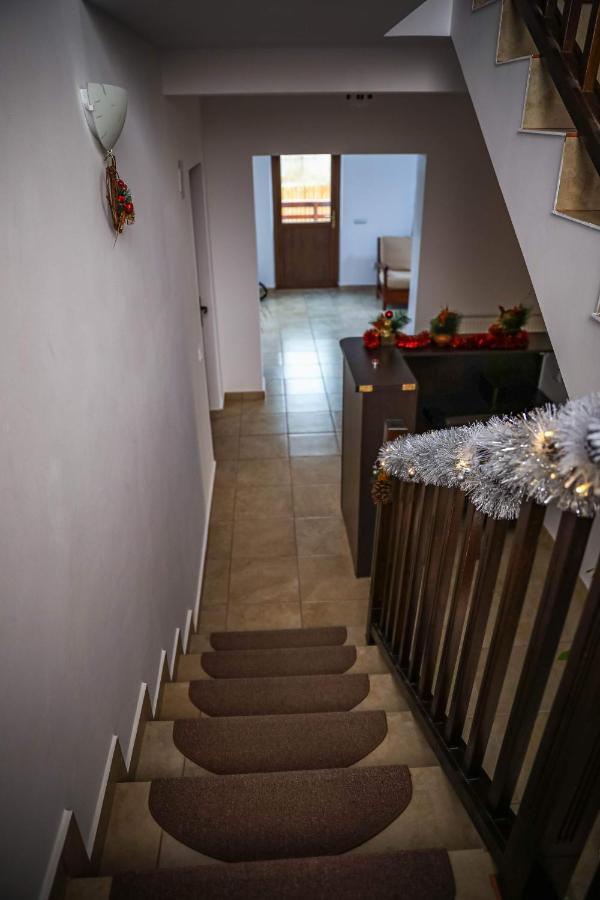 Pensiunea Lucian Baltati Kültér fotó